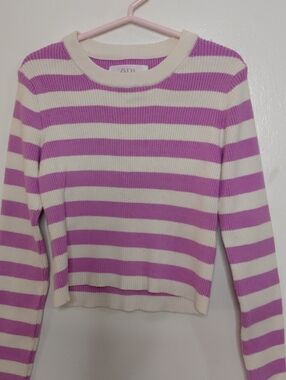 Zara Purple and Cream Striped Knit Top